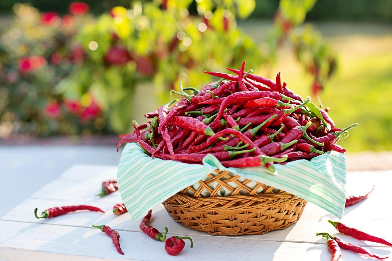 Peperoncino Abruzzese e capsaicina