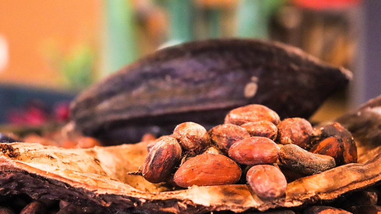 Il Cacao: non solo cibo degli dèi